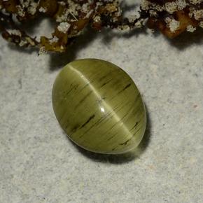 2.65カラットの天然アーシーグリーンキャッツアイアパタイト、オーバルカット、半透明