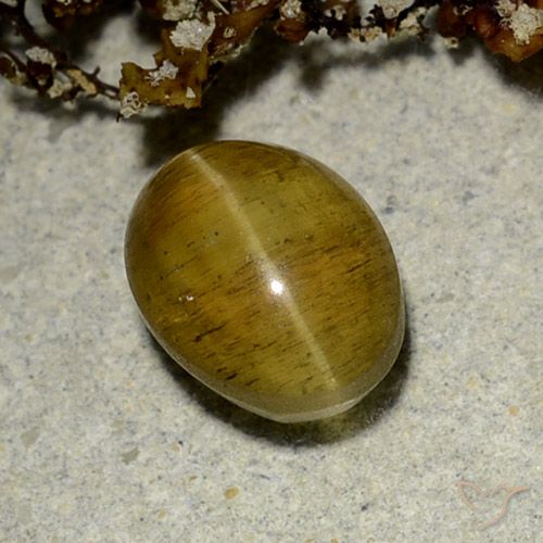 2.50ct 天然 イエローブラウン キャッツアイアパタイト, 楕円形, 半透明
