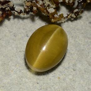 2.40カラットの天然ゴールドキャッツアイアパタイト、オーバルカット、半透明