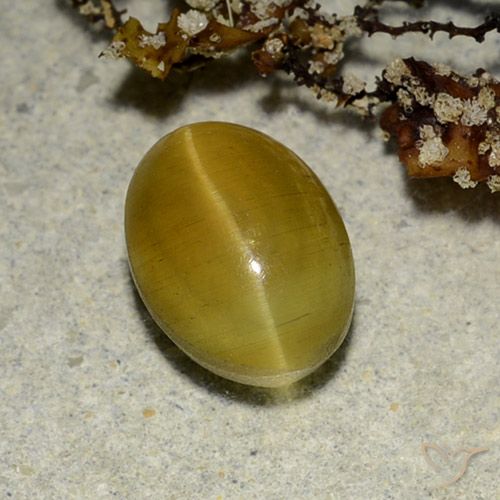 2.68カラットの天然アーシーイエローCat's Eye Apatite（9.1×6.7 mm・オーバルカット）