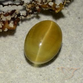 2.68カラットの天然アーシーイエローCat's Eye Apatite（9.1×6.7 mm・オーバルカット）