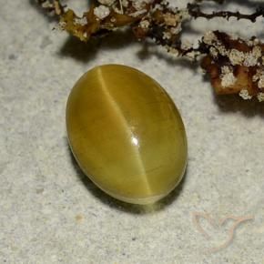 2.68カラットの天然アーシーイエローCat's Eye Apatite（9.1×6.7 mm・オーバルカット）