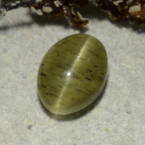 2.73カラットの天然ミディアムグリーンCat's Eye Apatite（9.1×6.7 mm・オーバルカット）