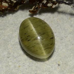 2.73カラットの天然ミディアムグリーンCat's Eye Apatite（9.1×6.7 mm・オーバルカット）