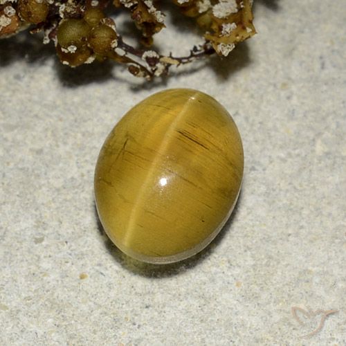 Apatite cat's eye 1.440ct loose
