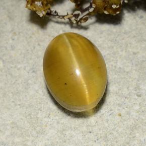 2.57カラットの天然緑がかったゴールドCat's Eye Apatite（8.7×6.4 mm・オーバルカット）