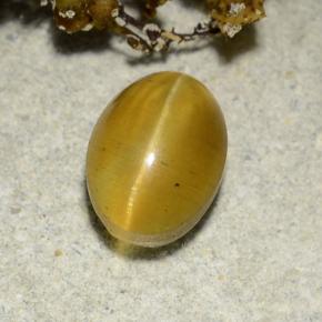 2.57カラットの天然緑がかったゴールドCat's Eye Apatite（8.7×6.4 mm・オーバルカット）