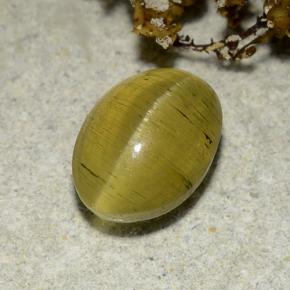 2.83カラットの天然ゴールデンブラウンCat's Eye Apatite（9.4×6.8 mm・オーバルカット）
