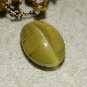 2.83カラットの天然ゴールデンブラウンCat's Eye Apatite（9.4×6.8 mm・オーバルカット）