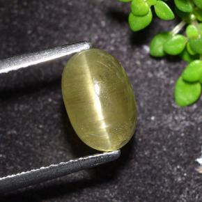 2.32カラットの天然ニュートラルイエローキャッツアイアパタイト、オーバルカット、半透明