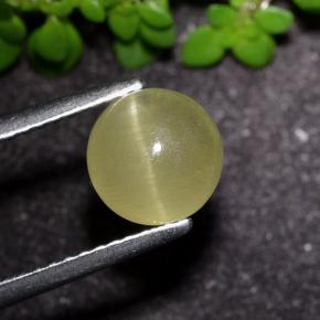 2.17カラットの天然アーシーイエローCat's Eye Apatite（7.25 mm・ラウンドカット）