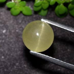2.17カラットの天然アーシーイエローCat's Eye Apatite（7.25 mm・ラウンドカット）