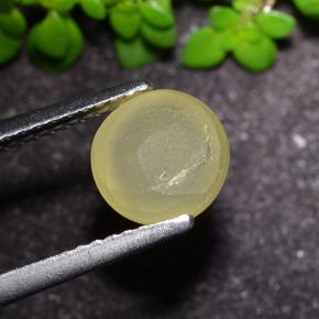 2.17カラットの天然アーシーイエローCat's Eye Apatite（7.25 mm・ラウンドカット）