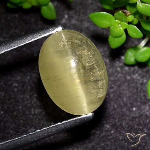 3.09ct 天然 ミディアムイエロー キャッツアイアパタイト, 楕円形, 透明