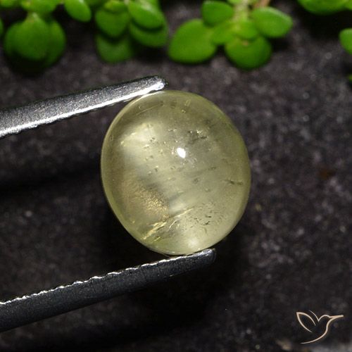 2.34ct 天然 ニュートラルイエロー キャッツアイアパタイト, 楕円形, 透明