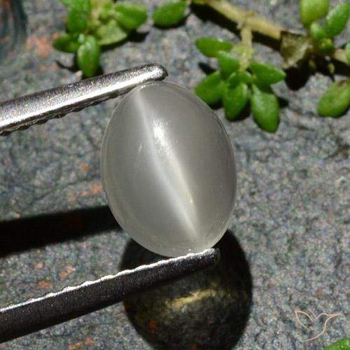 1.02ct 天然 ウォームホワイト キャッツアイムーンストーン, 楕円形, 半透明