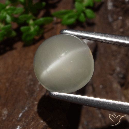 2.30ct 天然 ライトイエロー キャッツアイムーンストーン, ラウンド, 半透明