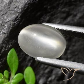 1.94カラットの天然ホワイトキャッツアイムーンストーン、オーバルカット、透明