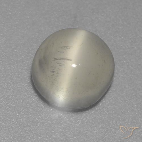 1.57ct 天然 ウォームホワイト キャッツアイムーンストーン, ラウンド, 透明