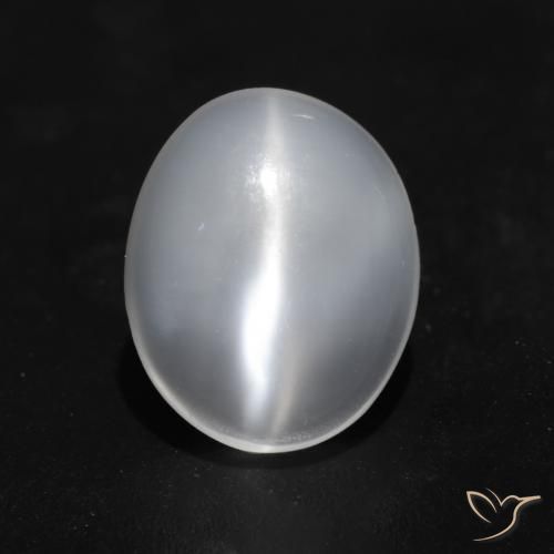 1.49ct 天然 半透明ホワイト キャッツアイムーンストーン, 楕円形, 透明