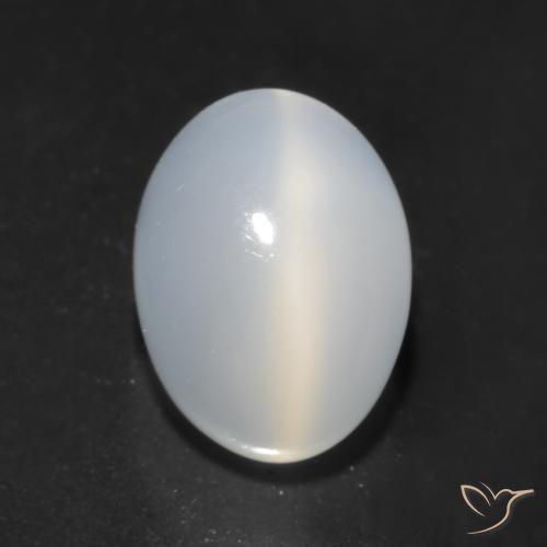 1.64カラットの天然半透明ホワイトCat's Eye Moonstone（8.1×6 mm・オーバルカット）