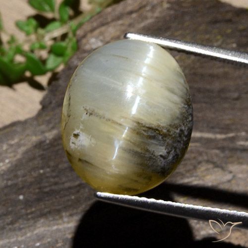 11.91ct 天然 茶色がかった黄色 キャッツアイオパール, 楕円形, オペーク