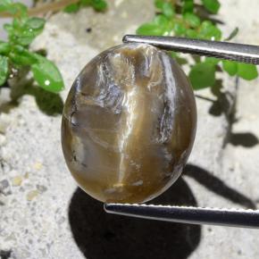 12.43カラットの天然ライトブラウンキャッツアイオパール、オーバルカット、オペーク