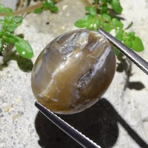 12.43カラットの天然ライトブラウンキャッツアイオパール、オーバルカット、オペーク