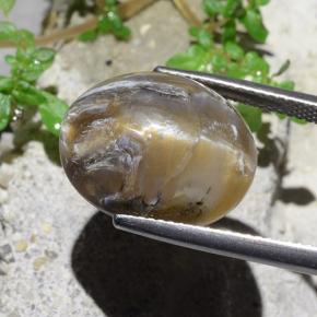 12.43カラットの天然ライトブラウンキャッツアイオパール、オーバルカット、オペーク