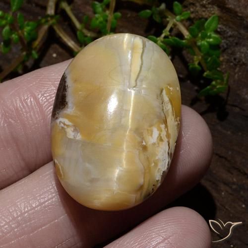 31.48ct 天然 マルチカラー キャッツアイオパール, 楕円形, オペーク