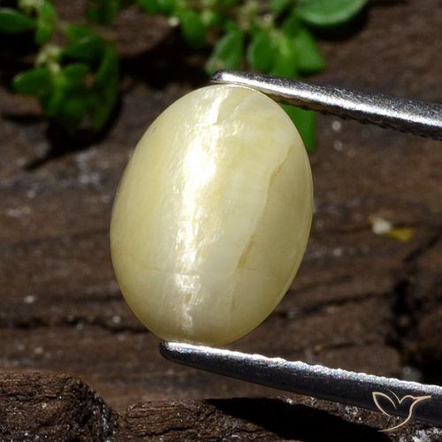 3.68ct 天然 ウォームオフホワイト キャッツアイオパール, 楕円形, オペーク