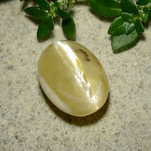 3.65ct 天然 クリームイエロー キャッツアイオパール, 楕円形, オペーク