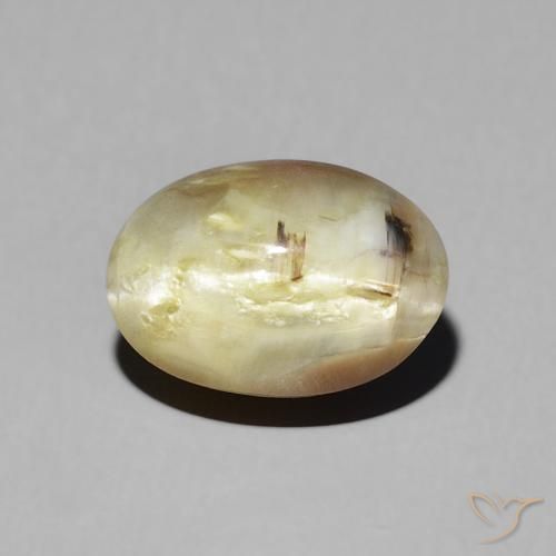 2.72ct 天然 ゴールドブラウン キャッツアイオパール, 楕円形, 半透明