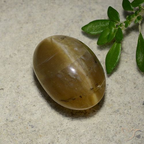4.65ct 天然 ゴールドブラウン キャッツアイオパール, 楕円形, 半透明