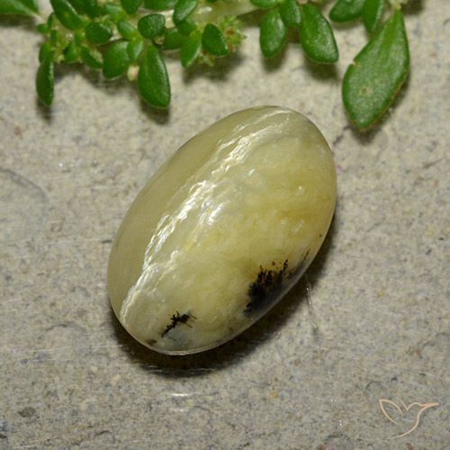 4.81ct 天然 バナナイエロー キャッツアイオパール, 楕円形, オペーク