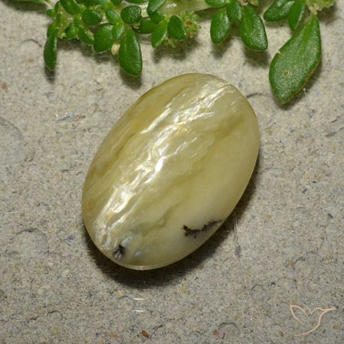 5.04ct 天然 バナナイエロー キャッツアイオパール, 楕円形, オペーク