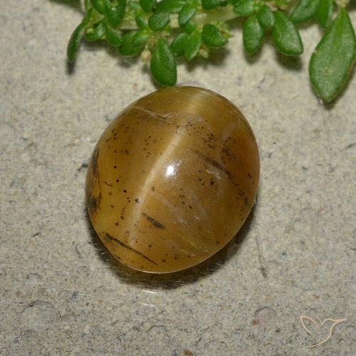 3.94ct 天然 ゴールドブラウン キャッツアイオパール, 楕円形, 半透明