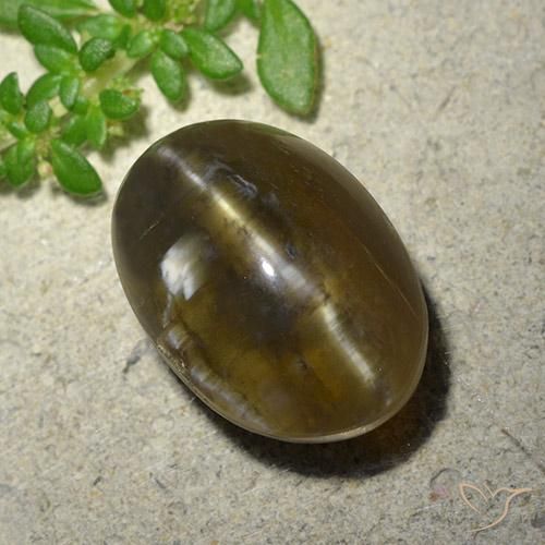 9.59ct 天然 ミディアムダークブラウン キャッツアイオパール, 楕円形, 半透明