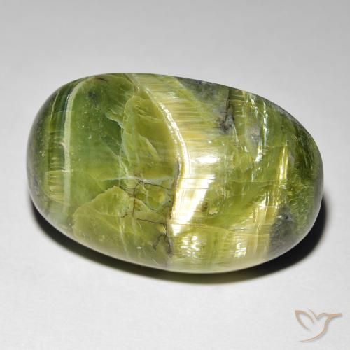 16.99ct 天然 黄みがかったグリーン キャッツアイオパール, 楕円形, オペーク