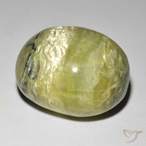 14.90ct 天然 ウォームグリーン キャッツアイオパール, 楕円形, オペーク