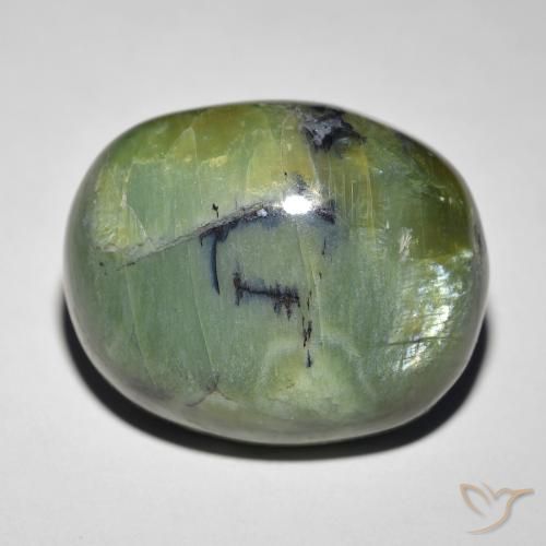 18.89ct 天然 アースグリーン キャッツアイオパール, 楕円形, オペーク