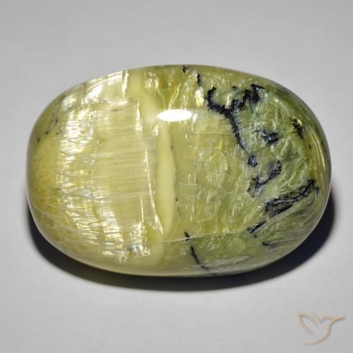 39.60ct 天然 アースグリーン キャッツアイオパール, 楕円形, オペーク
