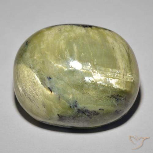 41.82ct 天然 黄みがかったグリーン キャッツアイオパール, 楕円形, オペーク
