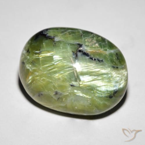 14.55ct 天然 ミディアムグリーン キャッツアイオパール, 楕円形, オペーク
