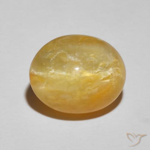 7.90ct 天然 ゴールド キャッツアイオパール, 楕円形, オペーク
