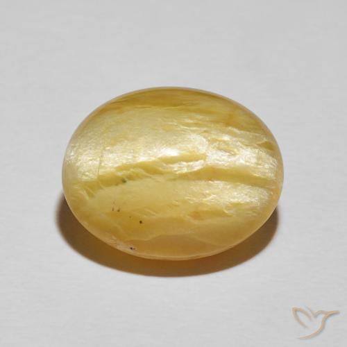8.78ct 天然 ミディアムイエロー キャッツアイオパール, 楕円形, オペーク
