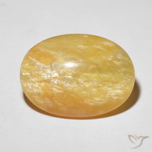 19.78ct 天然 ミディアムゴールド キャッツアイオパール, 楕円形, オペーク