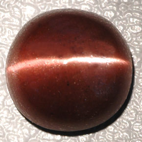 4.26カラットの天然ダークブラウンCat's Eye Scapolite（10.3×10.2 mm・オーバルカット）