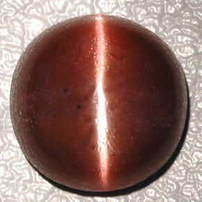 4.26カラットの天然ダークブラウンCat's Eye Scapolite（10.3×10.2 mm・オーバルカット）