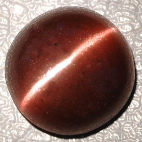 4.26カラットの天然ダークブラウンCat's Eye Scapolite（10.3×10.2 mm・オーバルカット）